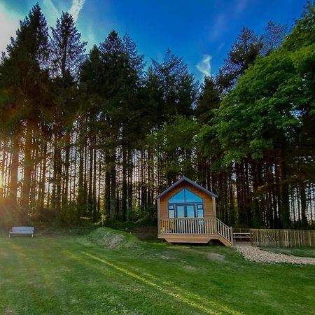 Cabin In The Woods - 1 Bedroom Lodge - Kilgetty Stepaside  Ngoại thất bức ảnh