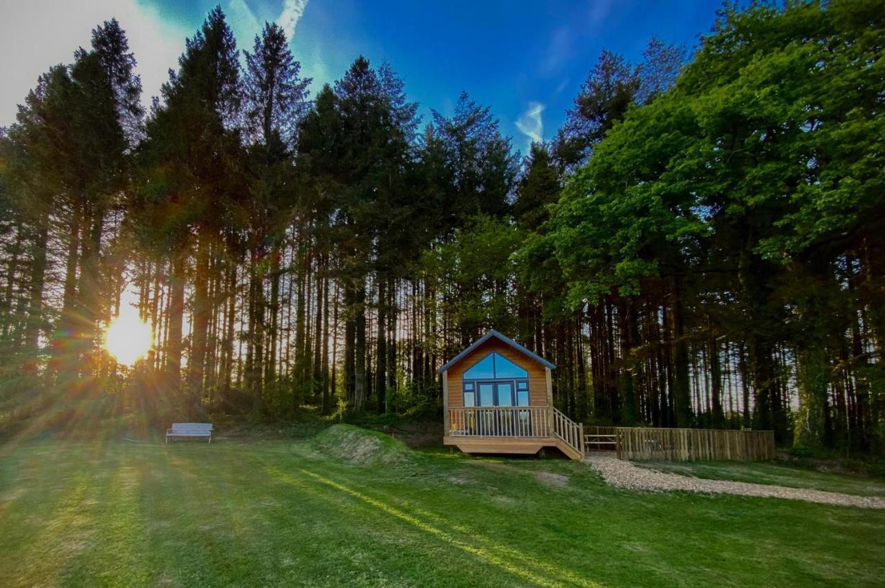 Cabin In The Woods - 1 Bedroom Lodge - Kilgetty Stepaside  Ngoại thất bức ảnh
