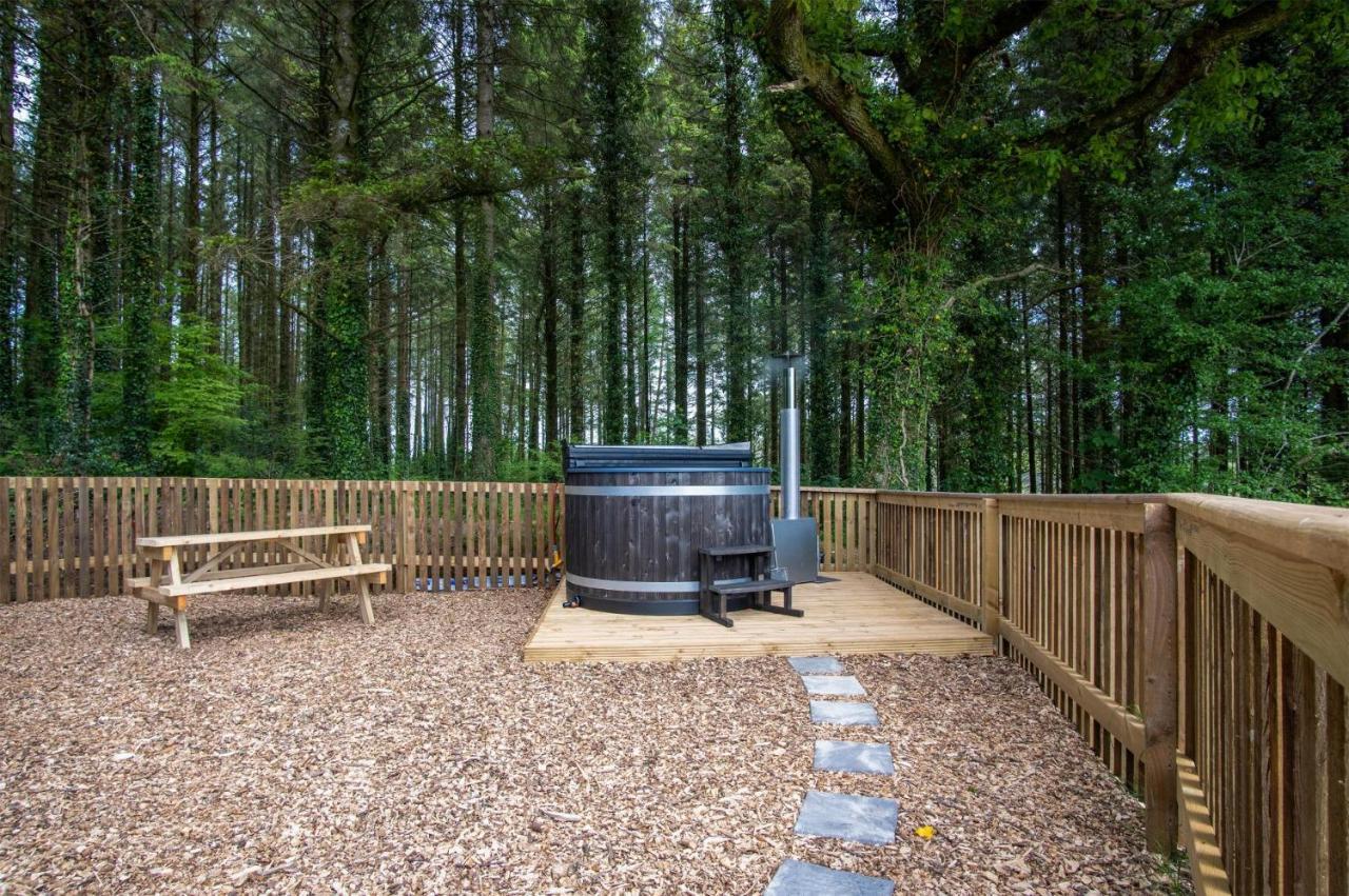 Cabin In The Woods - 1 Bedroom Lodge - Kilgetty Stepaside  Ngoại thất bức ảnh