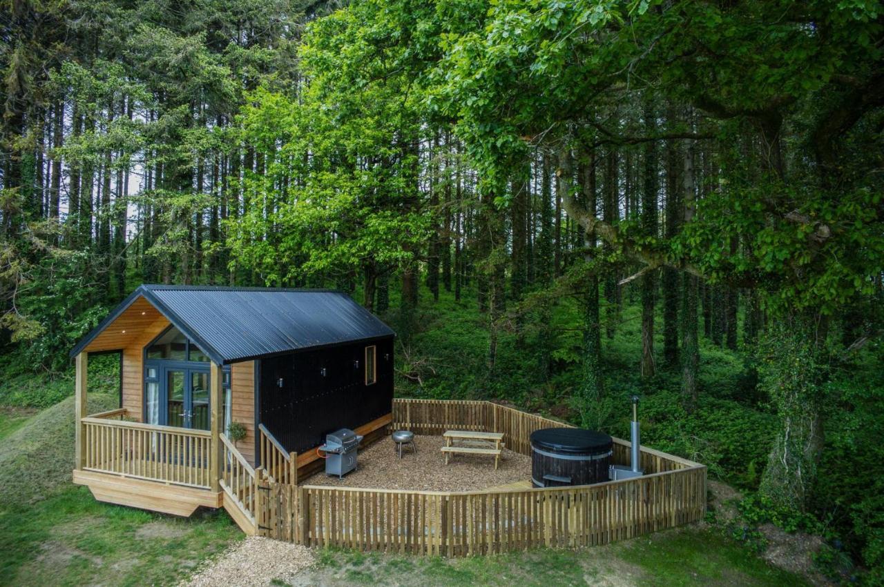 Cabin In The Woods - 1 Bedroom Lodge - Kilgetty Stepaside  Ngoại thất bức ảnh