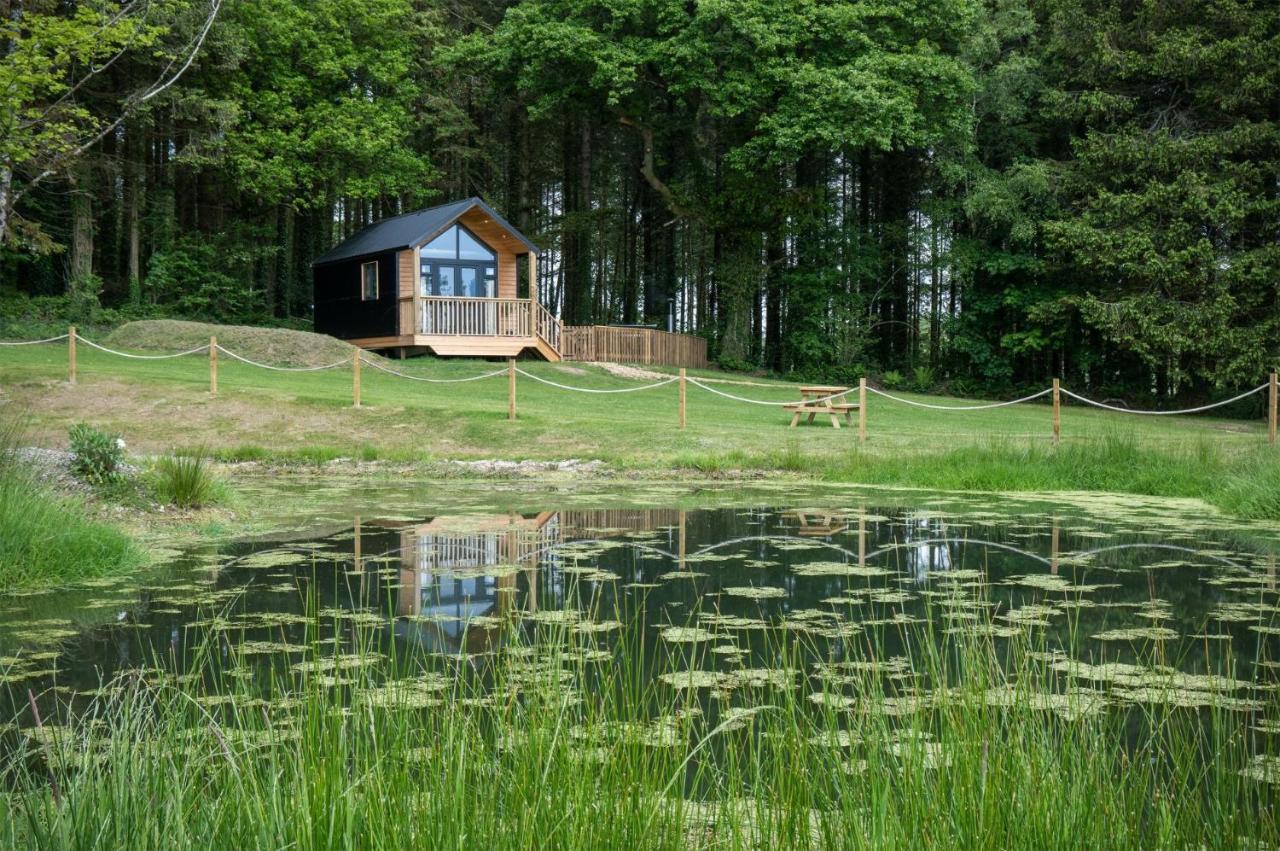 Cabin In The Woods - 1 Bedroom Lodge - Kilgetty Stepaside  Ngoại thất bức ảnh
