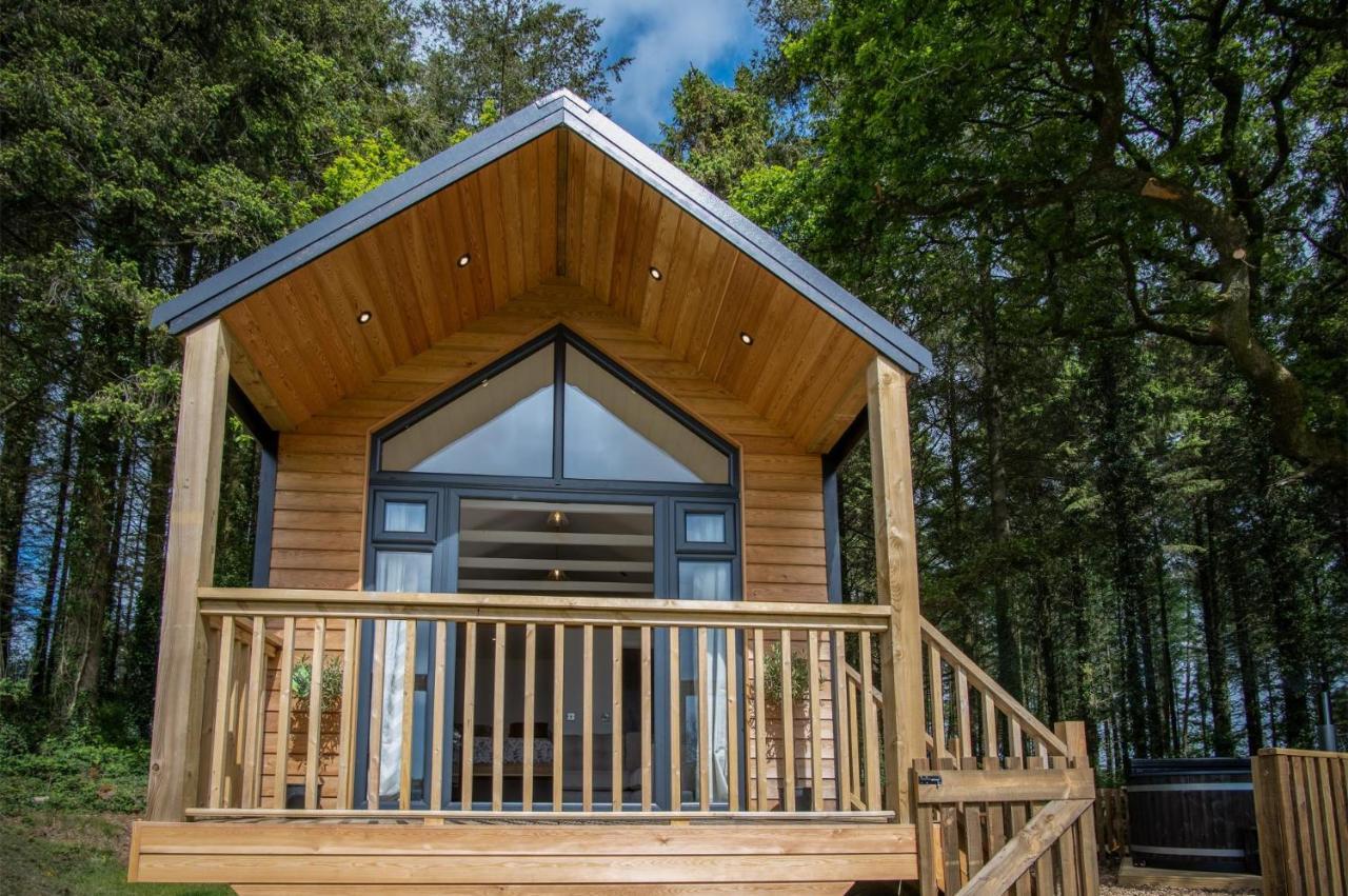 Cabin In The Woods - 1 Bedroom Lodge - Kilgetty Stepaside  Ngoại thất bức ảnh