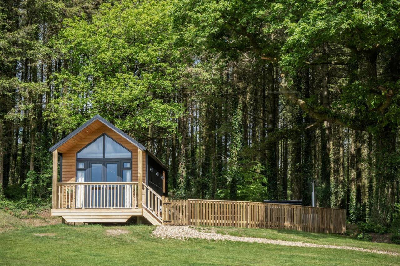 Cabin In The Woods - 1 Bedroom Lodge - Kilgetty Stepaside  Ngoại thất bức ảnh