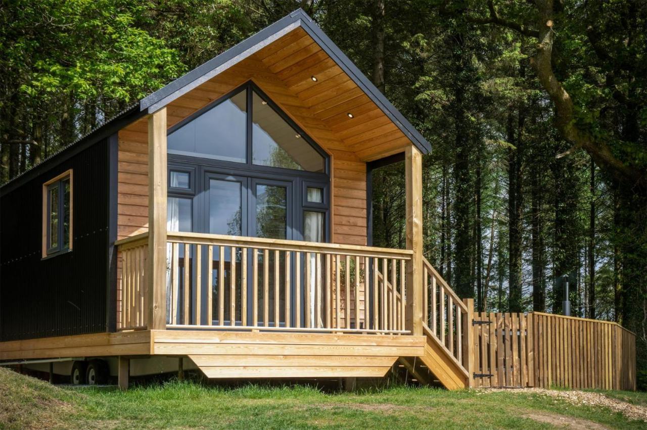 Cabin In The Woods - 1 Bedroom Lodge - Kilgetty Stepaside  Ngoại thất bức ảnh
