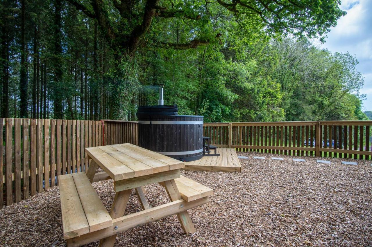 Cabin In The Woods - 1 Bedroom Lodge - Kilgetty Stepaside  Ngoại thất bức ảnh