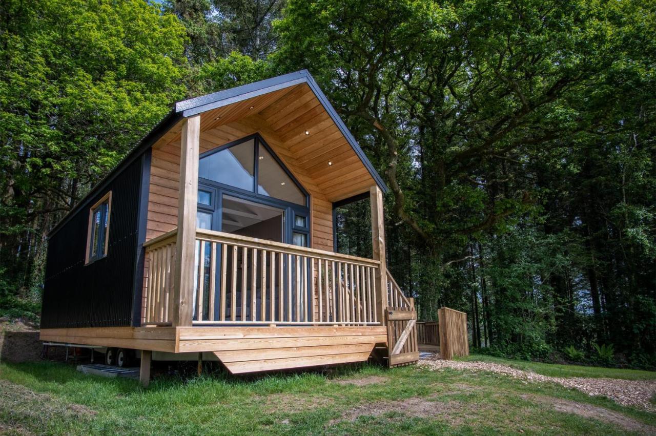 Cabin In The Woods - 1 Bedroom Lodge - Kilgetty Stepaside  Ngoại thất bức ảnh